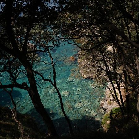 Amaranto Otel Maratea Dış mekan fotoğraf