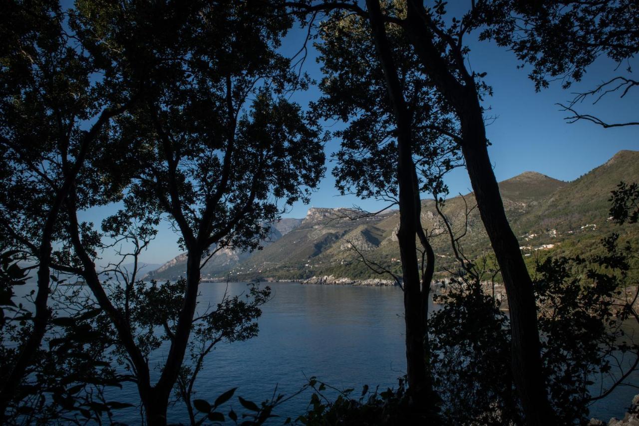 Amaranto Otel Maratea Dış mekan fotoğraf