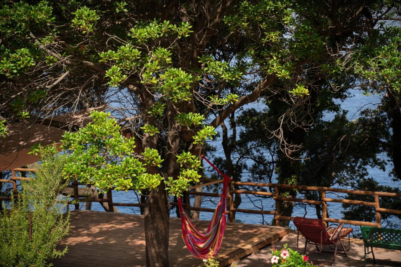 Amaranto Otel Maratea Dış mekan fotoğraf