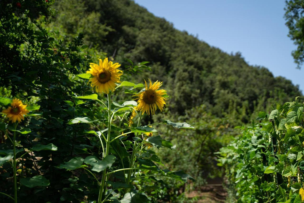 Amaranto Otel Maratea Dış mekan fotoğraf